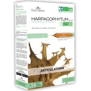 Flora Natura - Harpagophytum - 20 ampoules