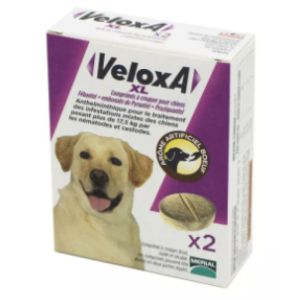 Veloxa - Chien XL - 2 comprimés
